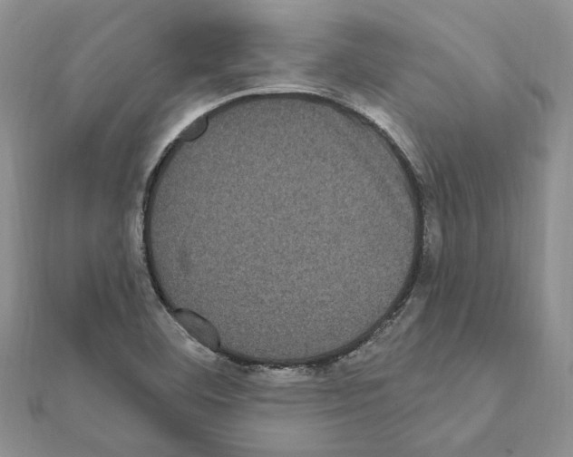 X0000111621460200908281102