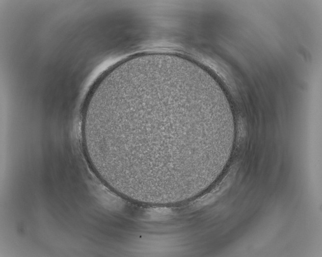 X0000111621462200908281102