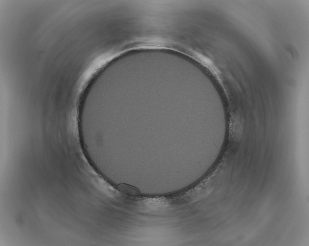 X0000111621464200908281102