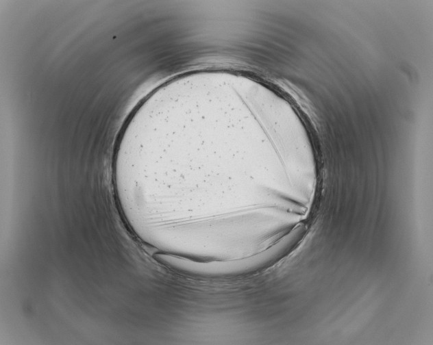 X0000111621465200908281102