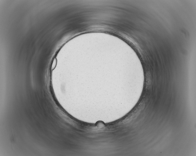 X0000111621467200908281102