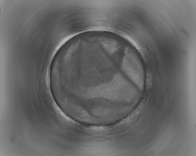 X0000111621468200908281102