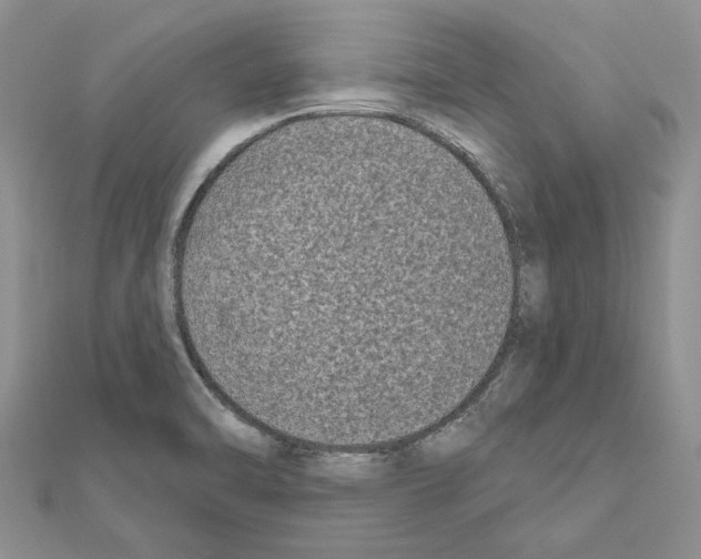 X0000111621470200908281102