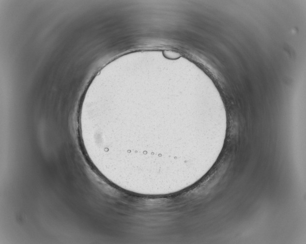 X0000111621471200908281102