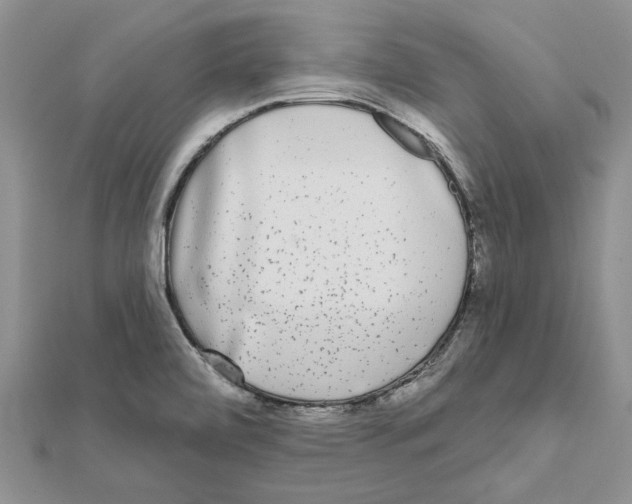 X0000111621472200908281102