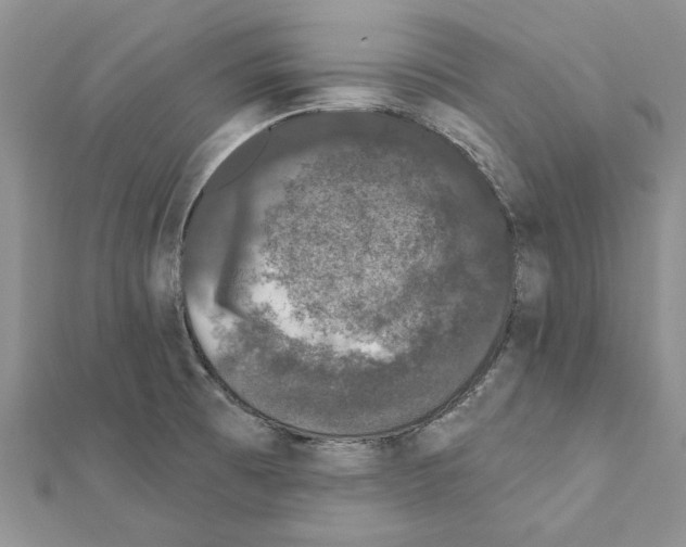 X0000111621473200908281102