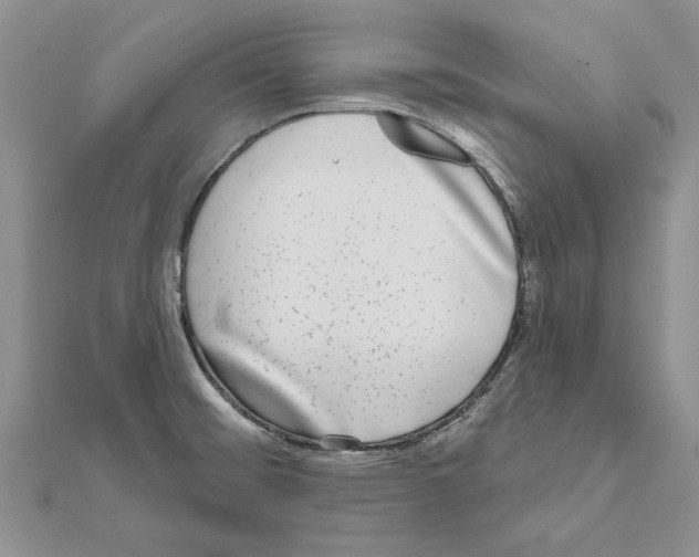 X0000111621476200908281102