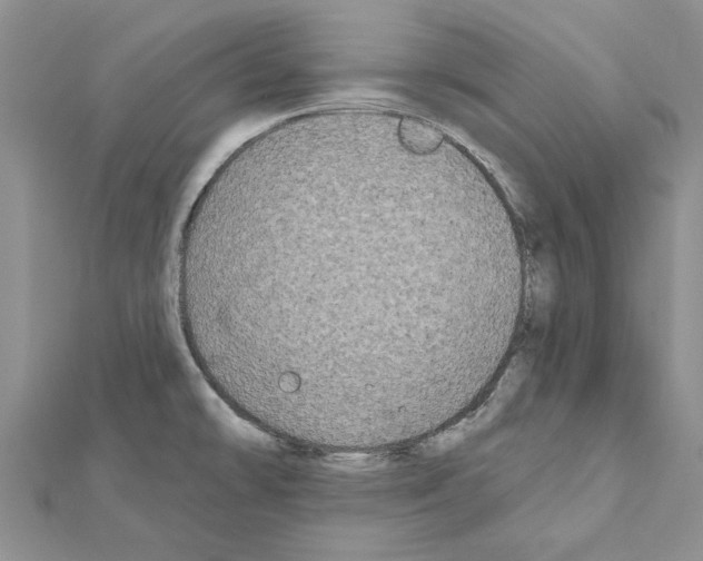 X0000111621478200908281102