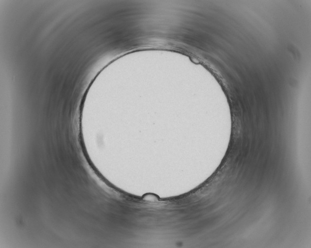 X0000111621479200908281102