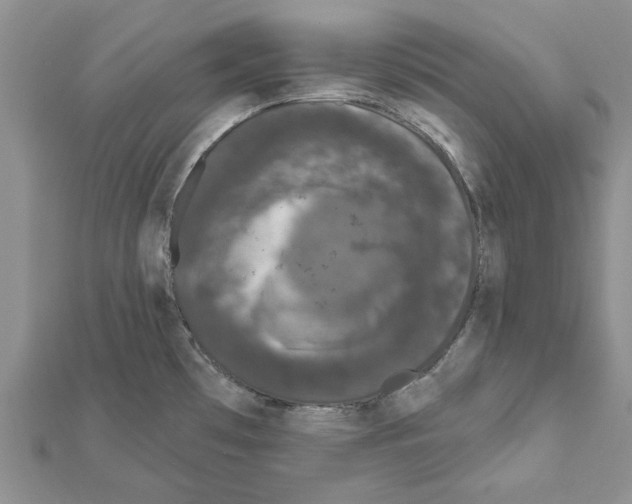 X0000111621481200908281102