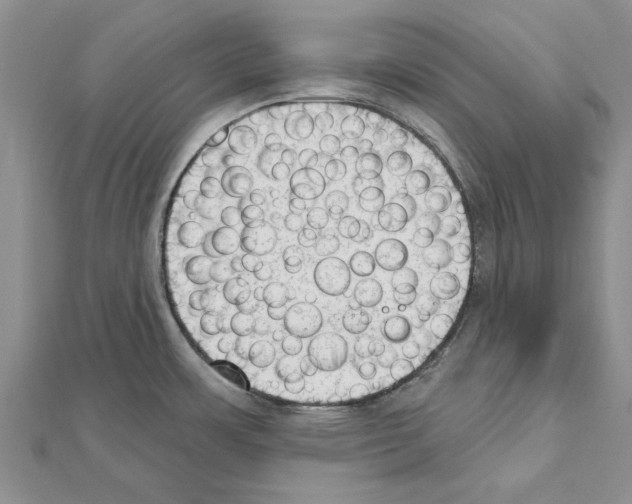 X0000111621483200908281102