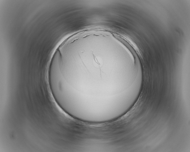 X0000111621484200908281102