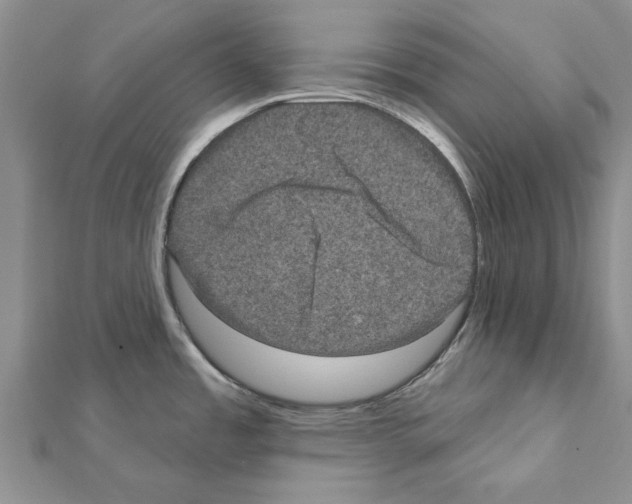 X0000111621485200908281102