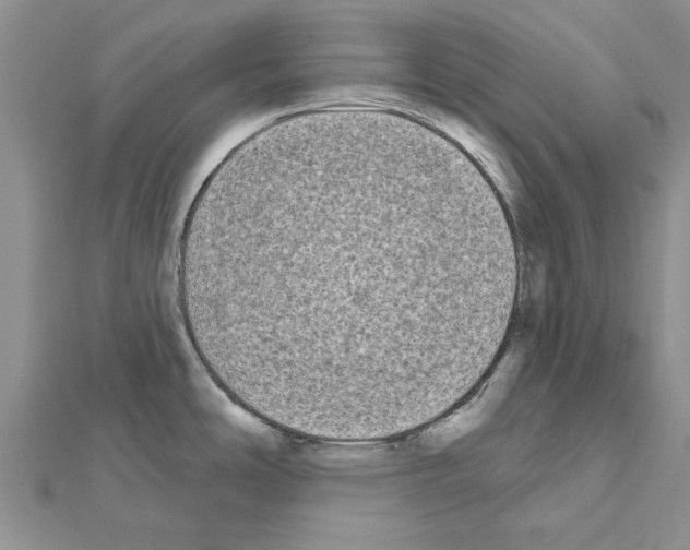 X0000111621486200908281102