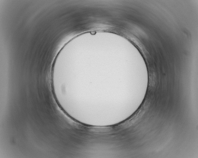 X0000111621487200908281102