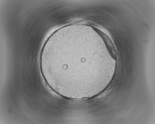 X0000111621488200908281102