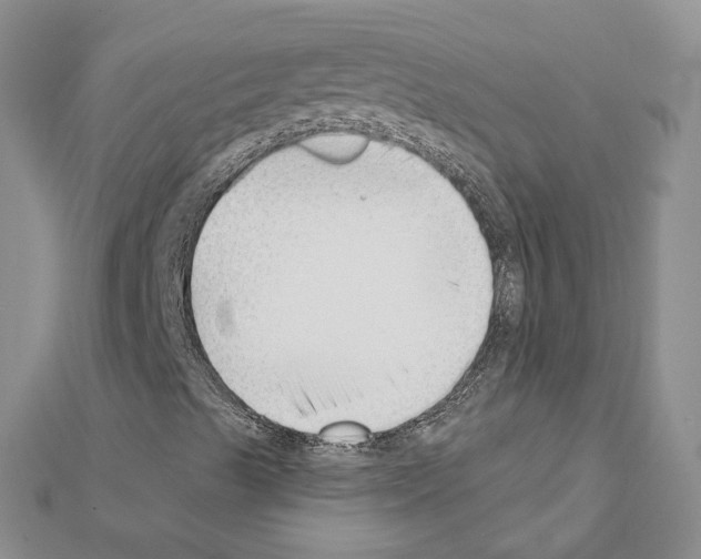 X0000111621489200908281101