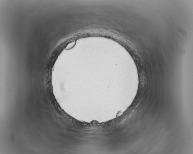 X0000111621494200908281101