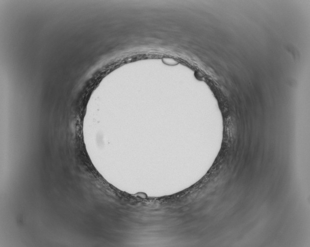 X0000111621495200908281101