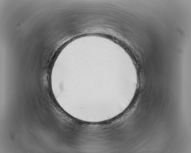 X0000111621497200908281101