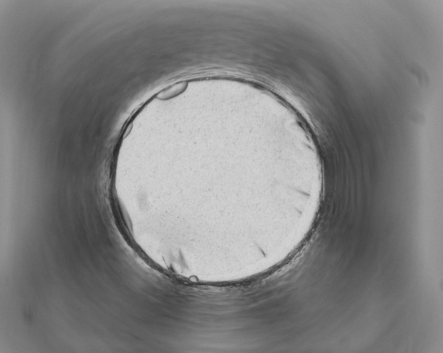 X0000111621500200908281101