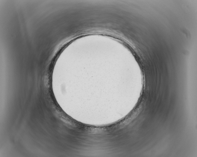 X0000111621501200908281101