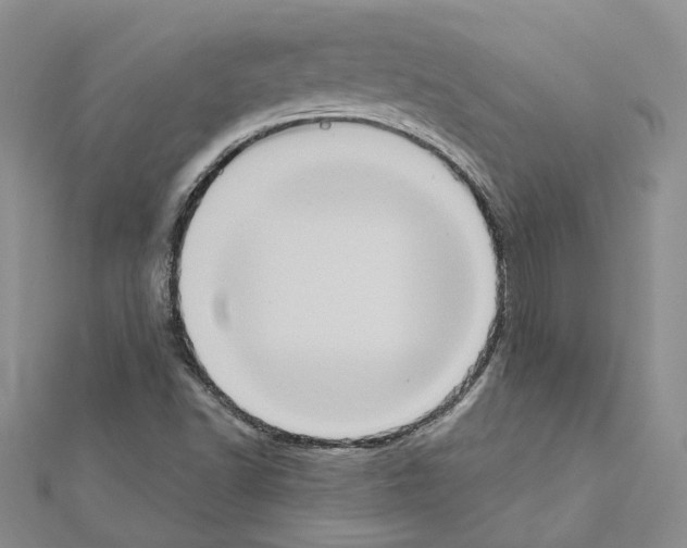 X0000111621502200908281101