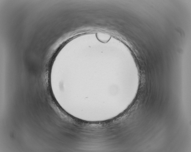 X0000111621503200908281101