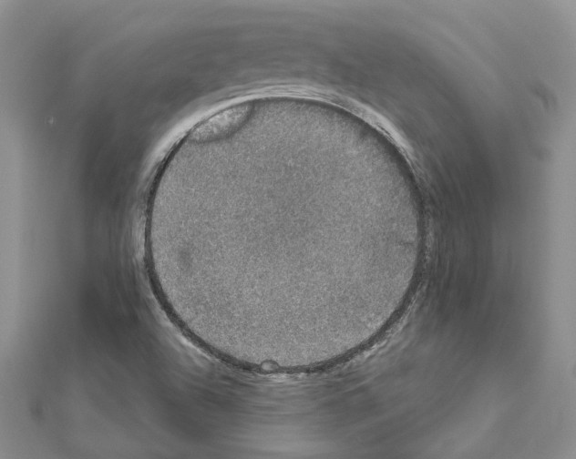 X0000111621504200908281101