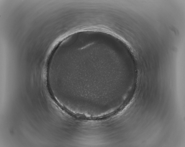 X0000111621506200908281101