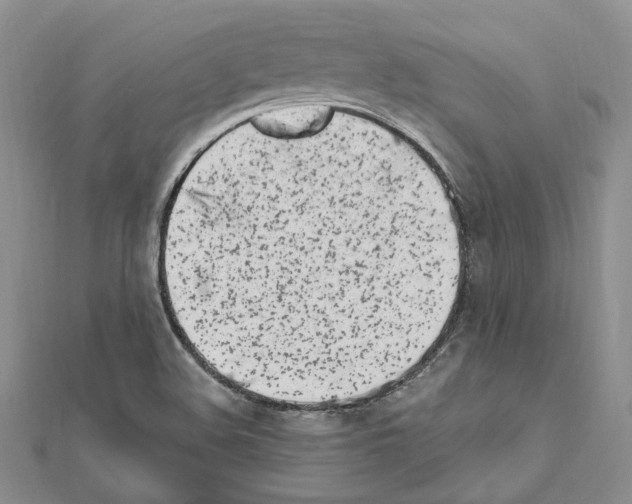 X0000111621508200908281101