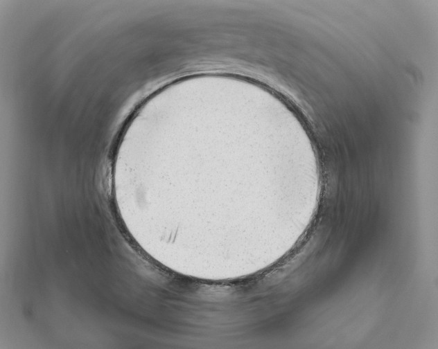 X0000111621509200908281101