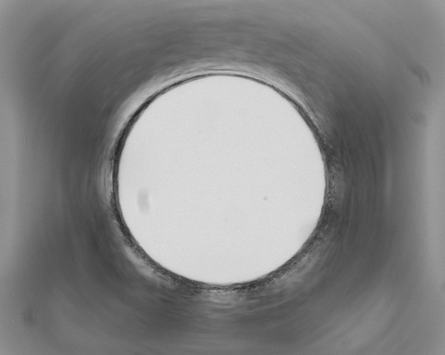 X0000111621511200908281101