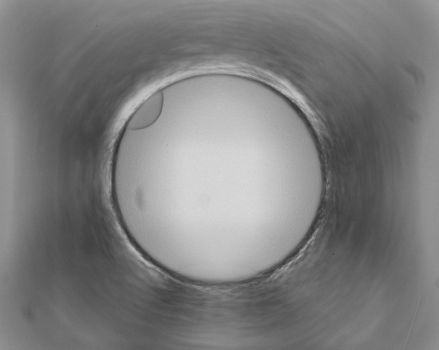 X0000111621512200908281101