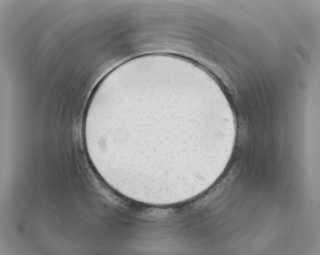 X0000111621513200908281101