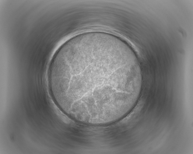 X0000111621514200908281101