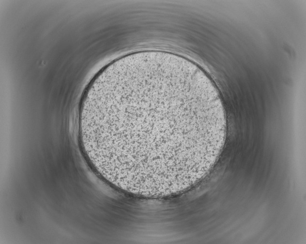 X0000111621515200908281101