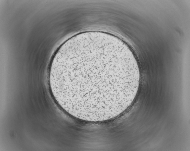 X0000111621517200908281101