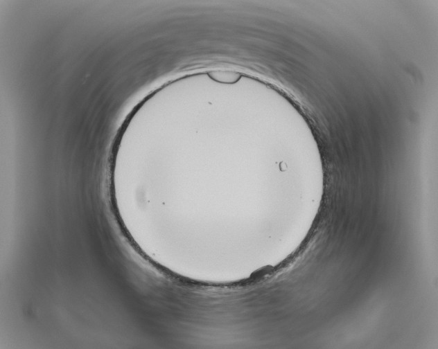 X0000111621518200908281101