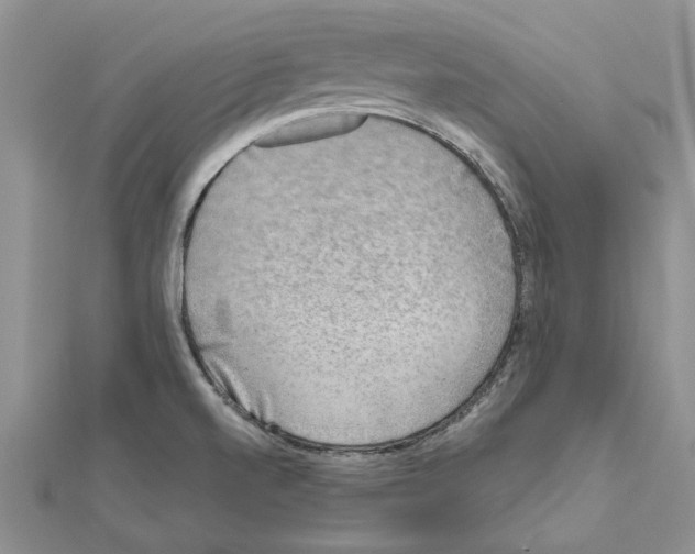 X0000111621520200908281101