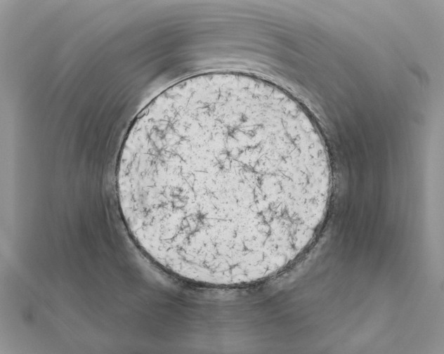 X0000111621521200908281101