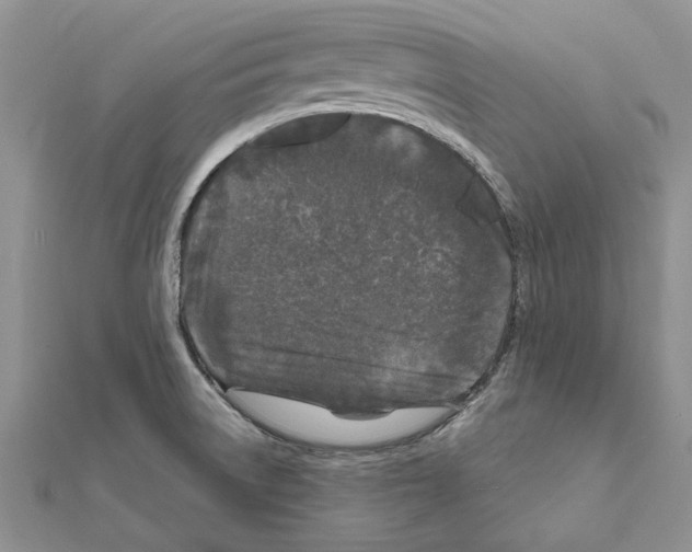 X0000111621522200908281101