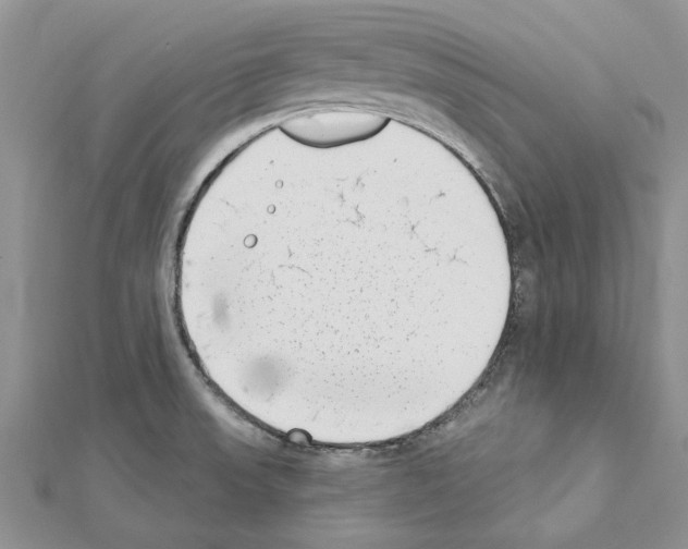 X0000111621523200908281101