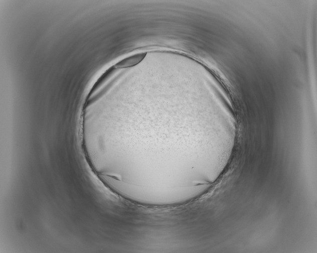 X0000111621524200908281101