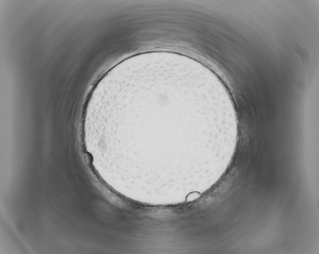 X0000111621525200908281101