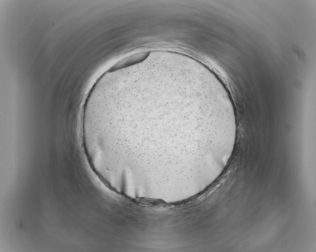 X0000111621528200908281102