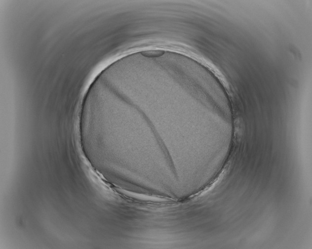 X0000111621530200908281102