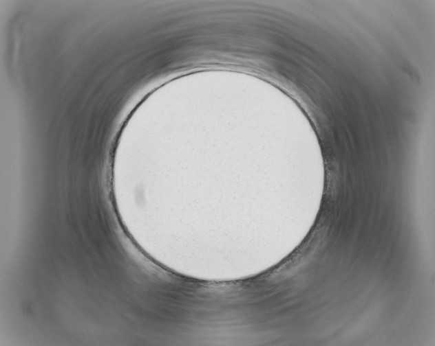 X0000111621531200908281102