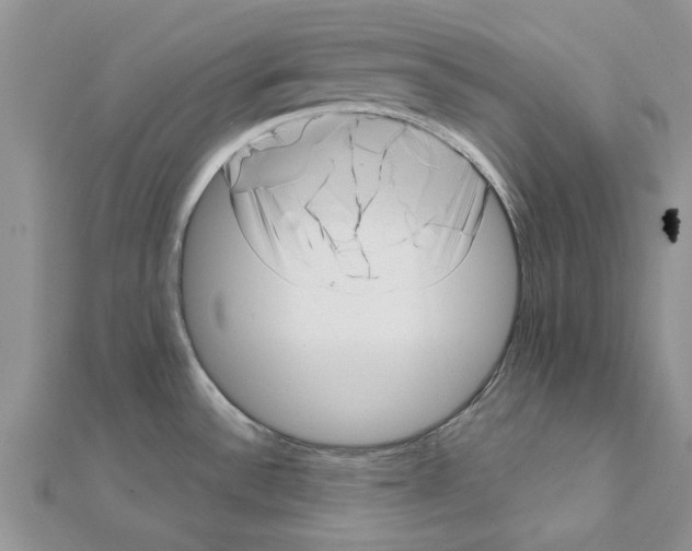 X0000111621532200908281102