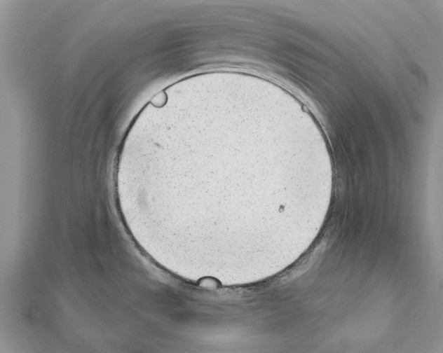 X0000111621533200908281102